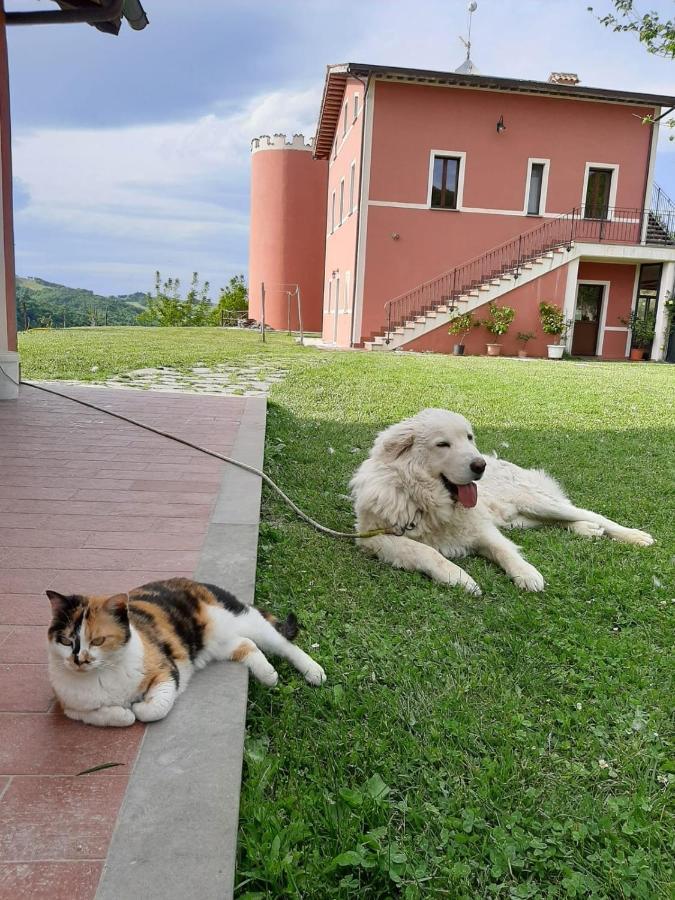 파브리아노 Agriturismo La Vita E Bella 빌라 외부 사진