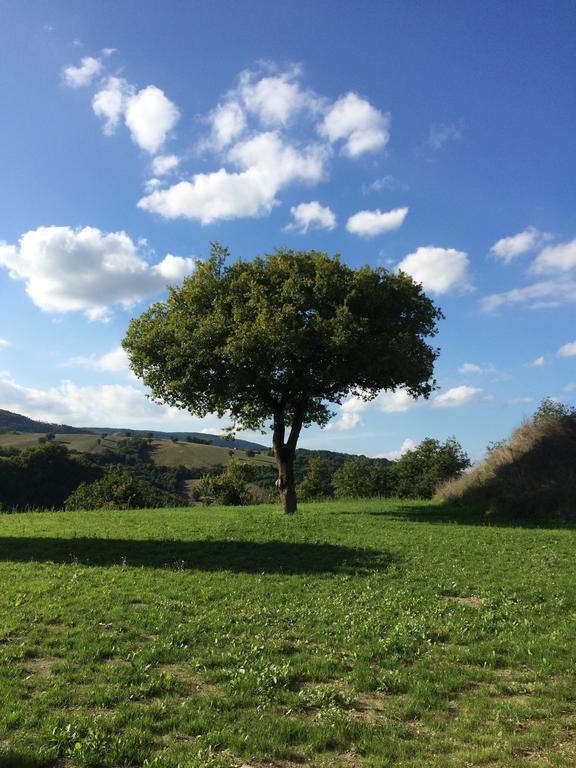 파브리아노 Agriturismo La Vita E Bella 빌라 외부 사진