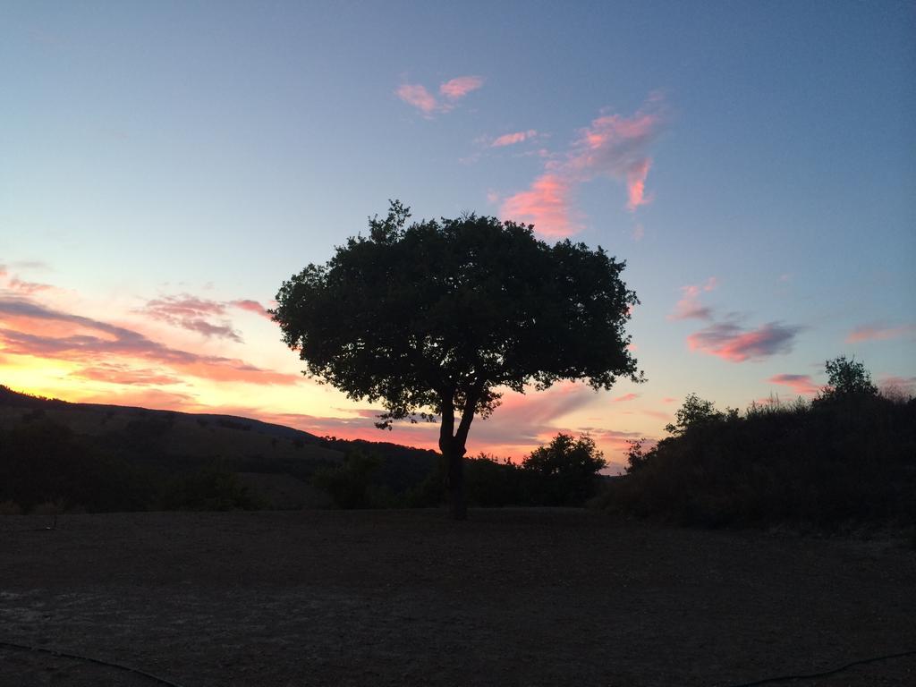 파브리아노 Agriturismo La Vita E Bella 빌라 외부 사진